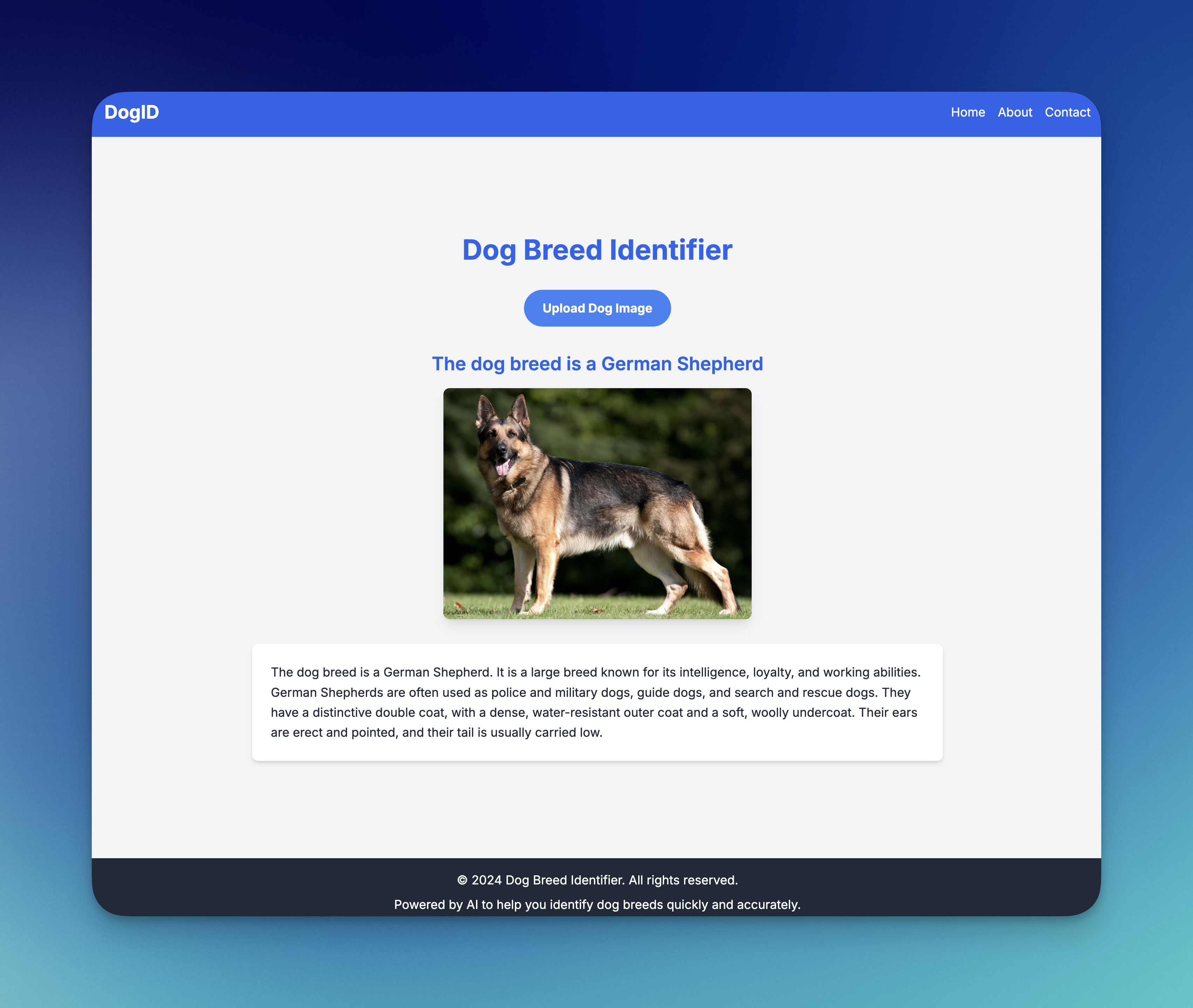 Building a Dog Breed Identifier App Using Cursor and Voice Commands